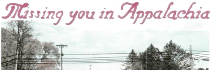 Sil's banner