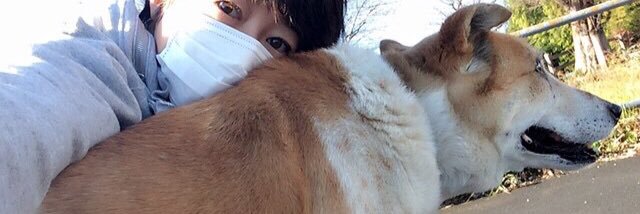 あやまんJAPANあやまん監督46歳3歳児の母👶's banner