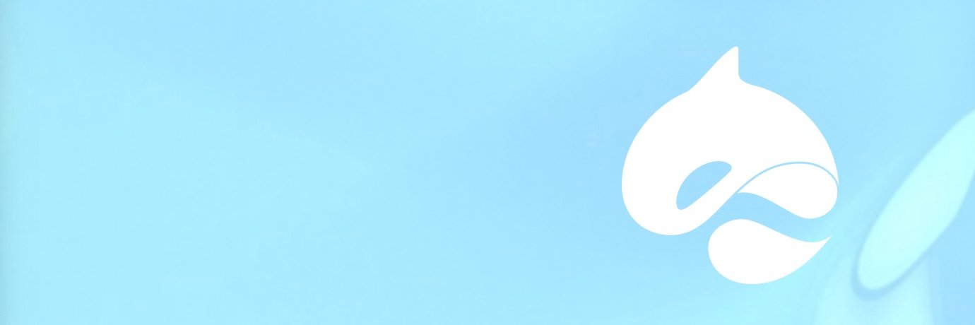 Surf | Sui Wallet's banner