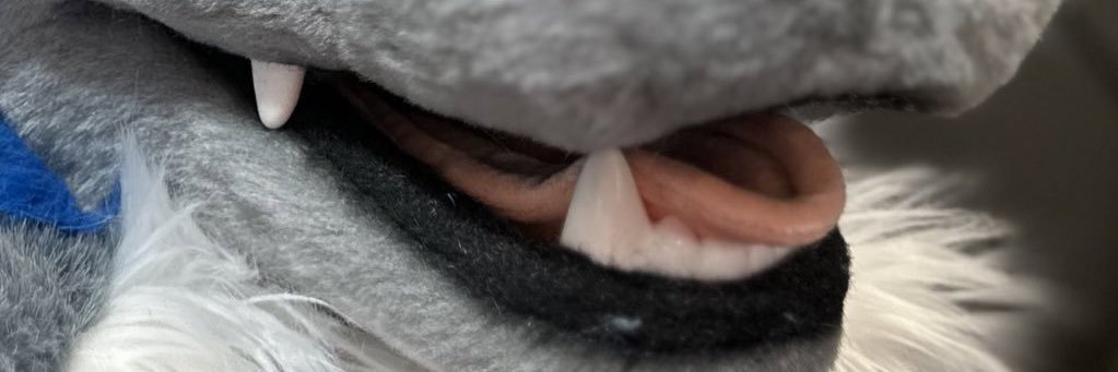 Noxx Puppy's banner