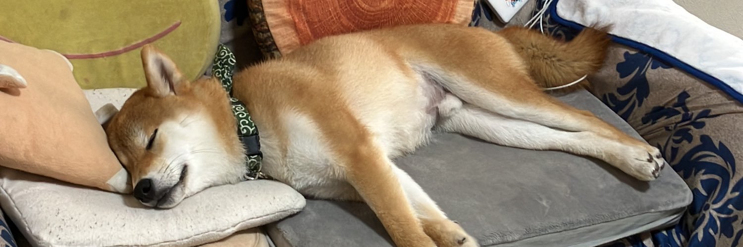 柴犬豆太's banner