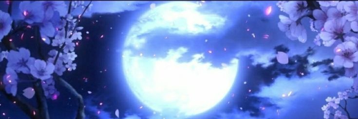 Nyukix's banner