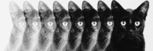Marie the Pop Culture Historian's banner