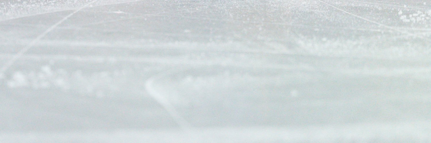 Skate Japan News's banner
