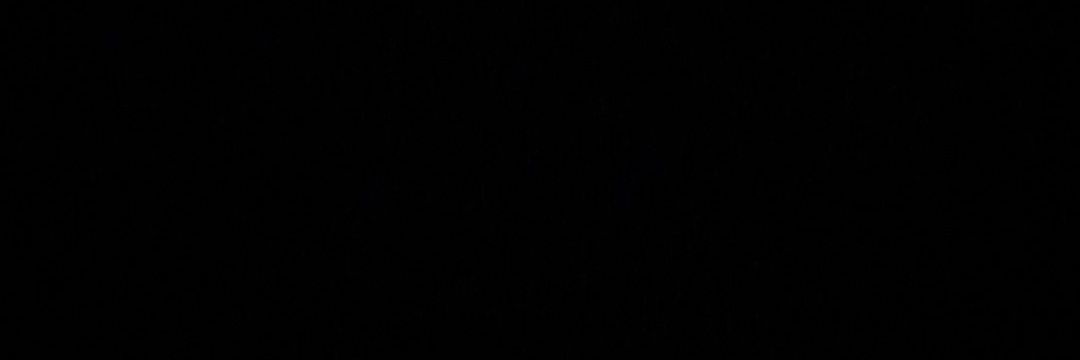 𝓥𝓮𝓻𝓪 𝓫𝓮𝓭𝓭𝓲𝓮 🐈‍⬛'s banner