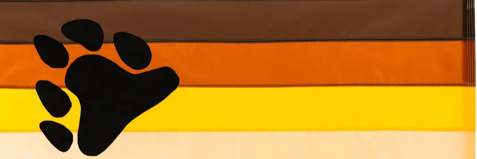 WIBottomBear's banner
