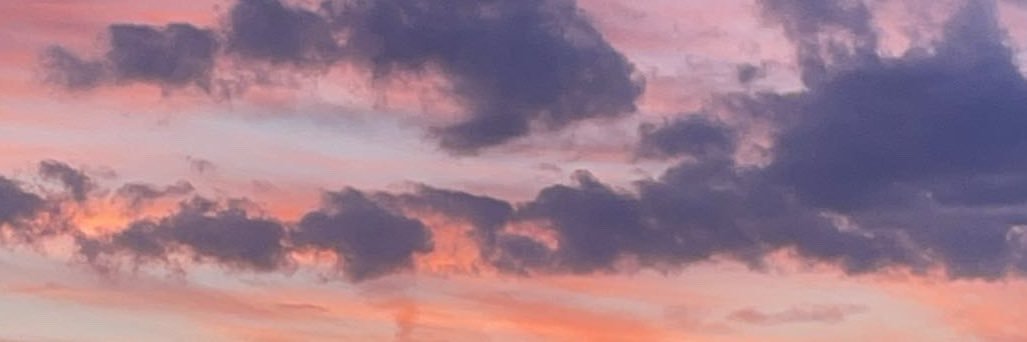 ~ 𝐺𝑜̈𝑡𝑡𝑖𝑛 𝑅𝑖𝑎 ~'s banner