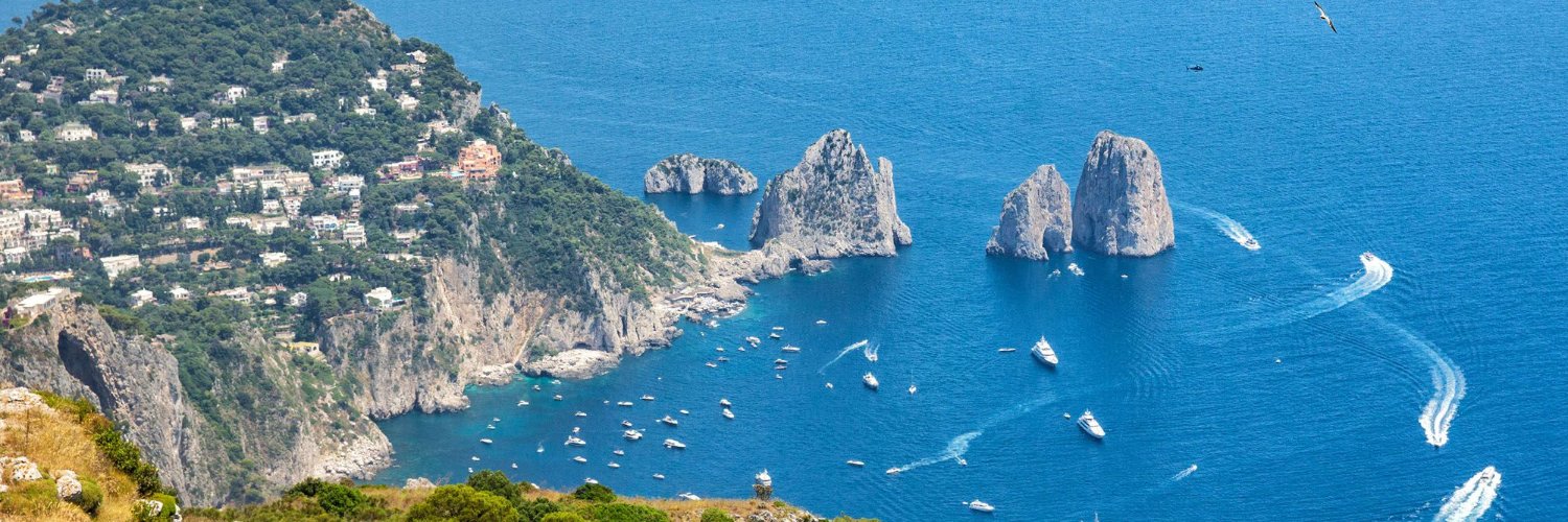 Alpha哥AI投资日记 🌴 📈's banner