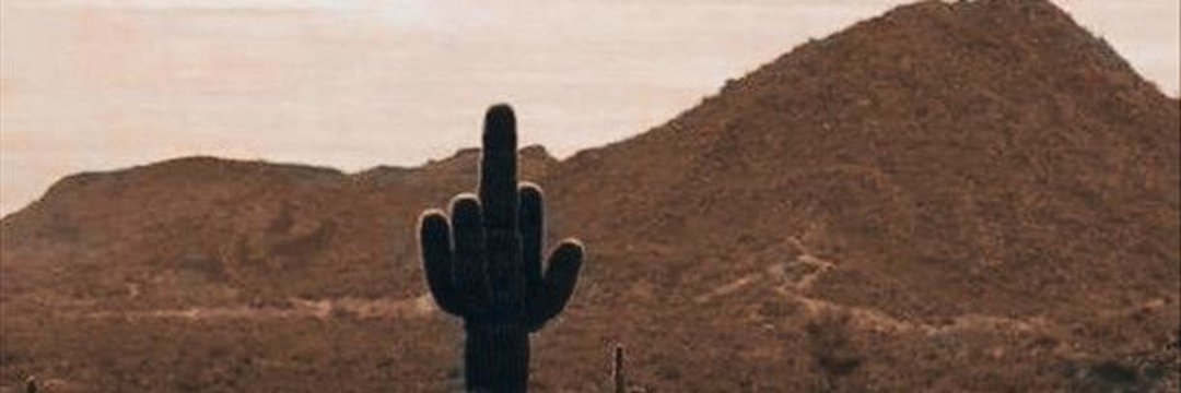 Piri 🇨🇱☭⃠'s banner