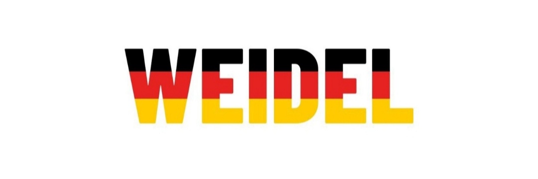 Regierungskritiker/100% Wutbürger🇩🇪🇺🇸🇵🇱🇭🇺's banner