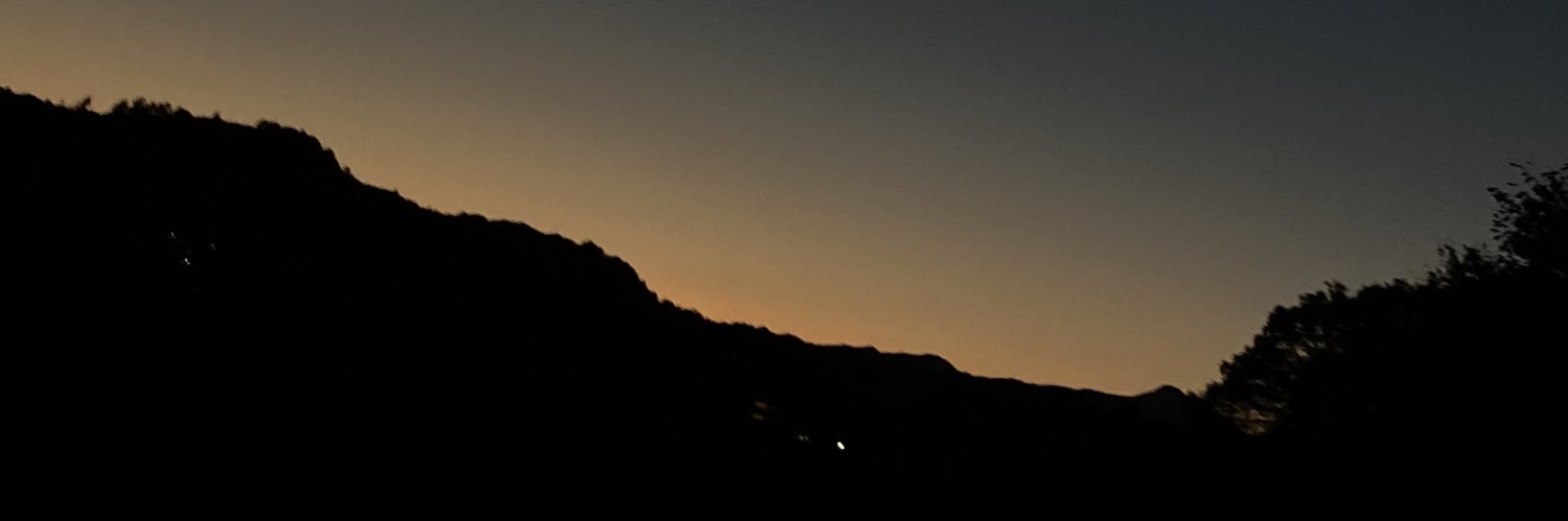 さり's banner