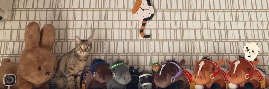 🦅🎏しっぽ⚾️多趣味垢🐱's banner
