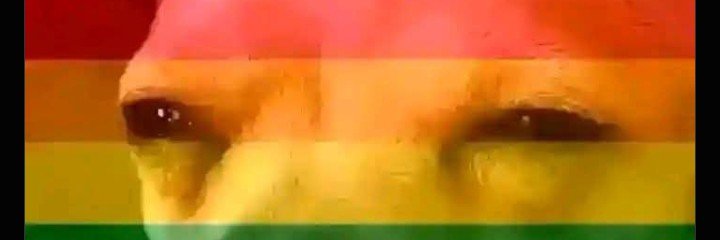 Dandy's banner