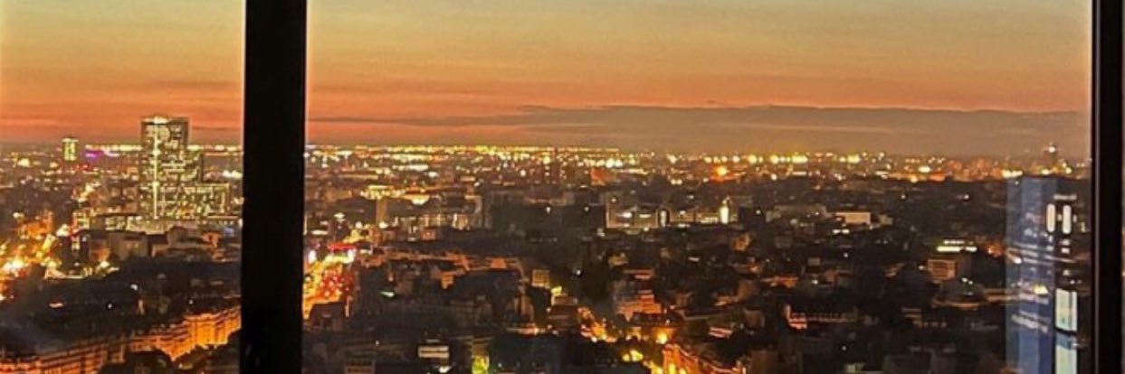 🇲🇱's banner