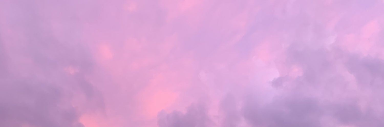 princess 💕's banner
