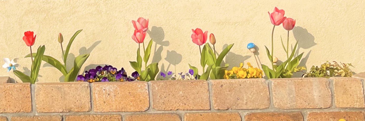 おもち_3yと0y(R8_04)'s banner