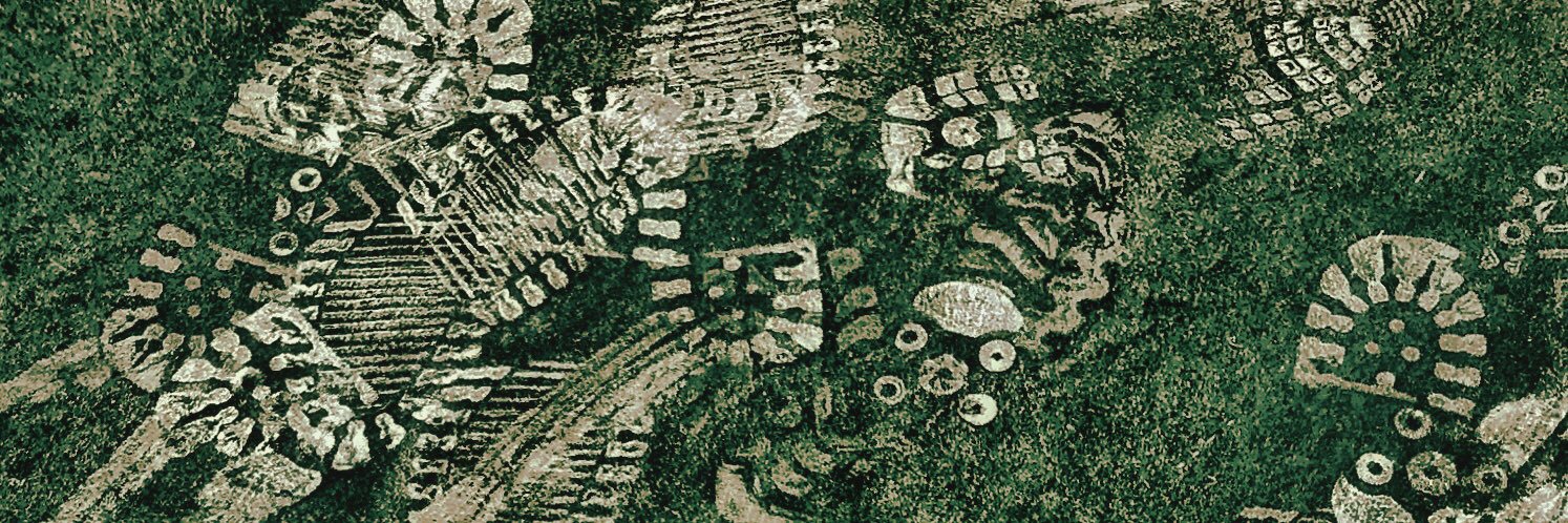 Mermaicula's banner