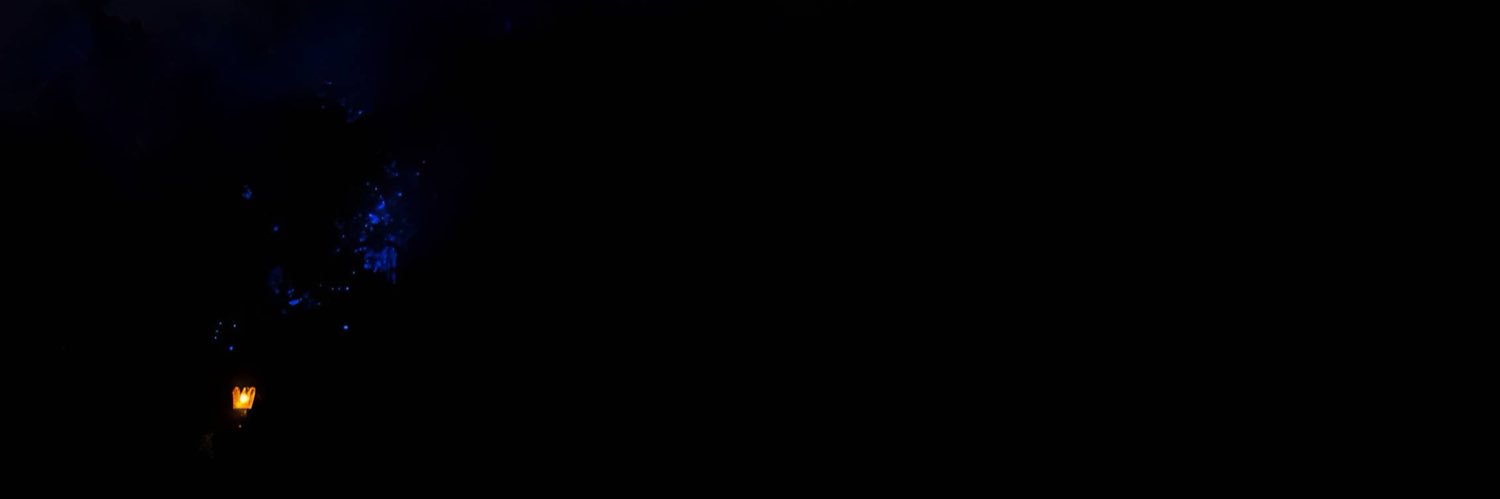 dm's banner
