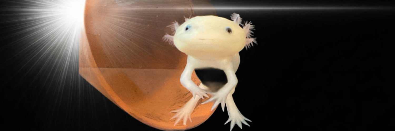 みのわ温泉　ながた荘's banner