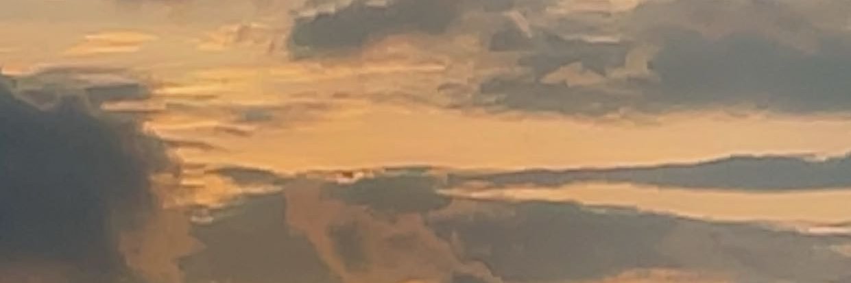 Feezha's banner