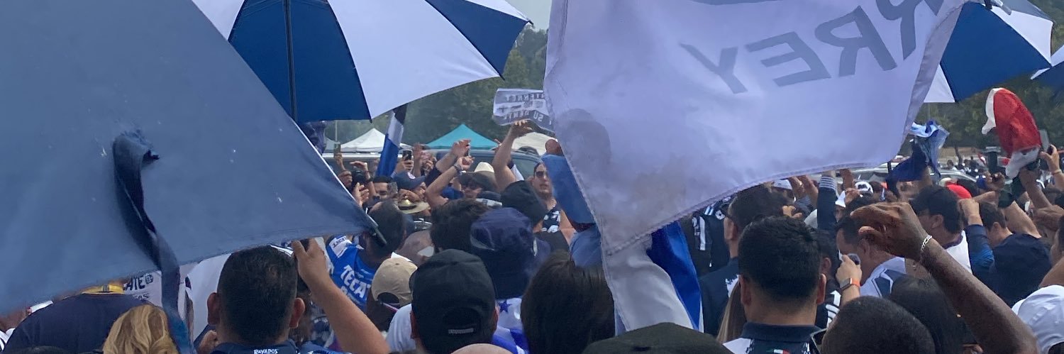 El Bicho Rayado's banner
