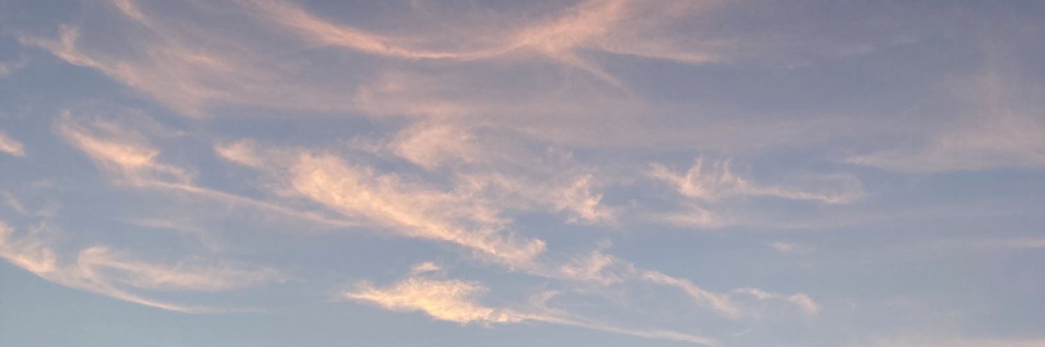 まりも's banner