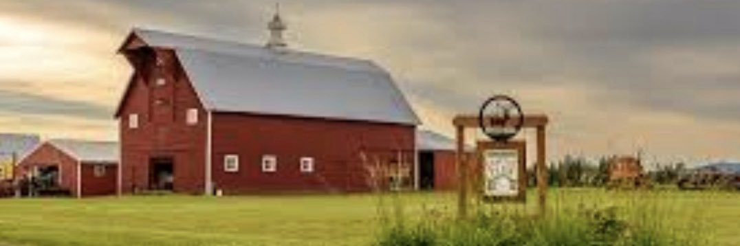 Farm Girl Carrie 👩‍🌾's banner