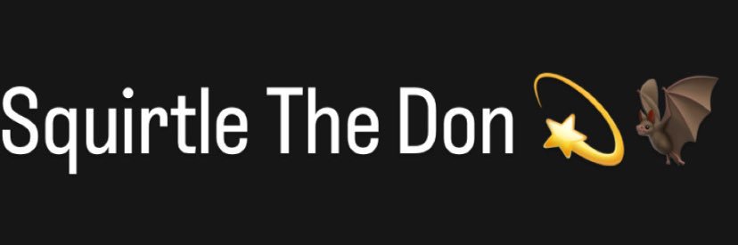 Squirtle The Don 💫's banner