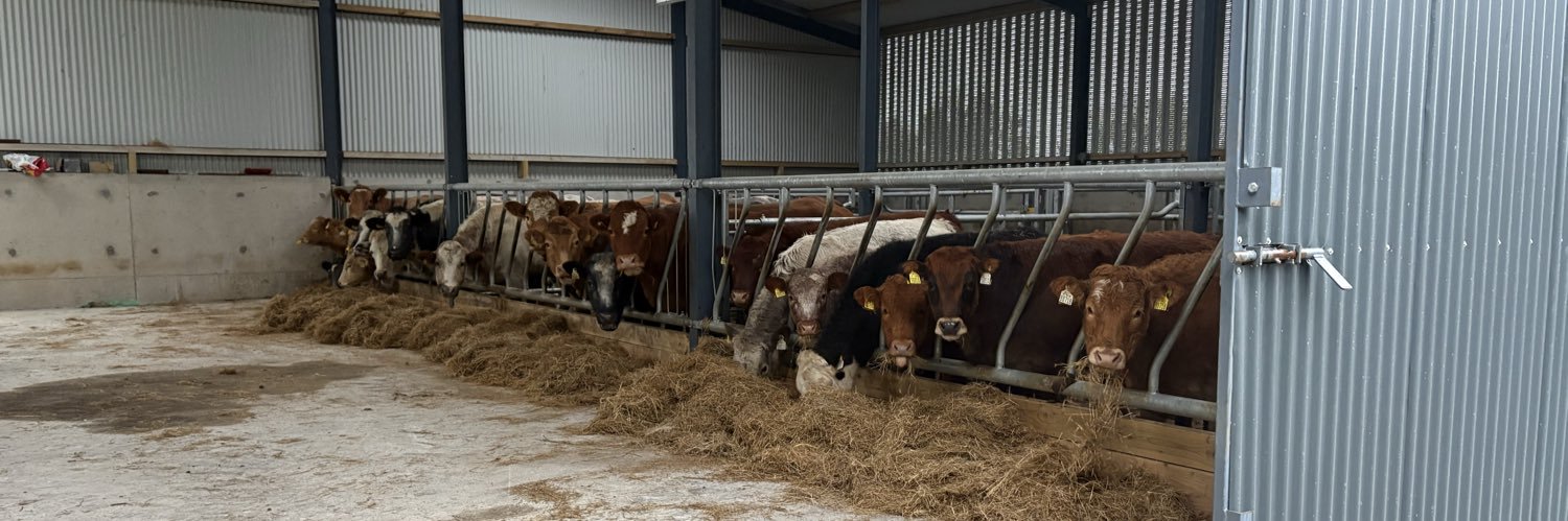 Mannion livestock's banner