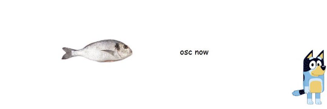 osc now's banner