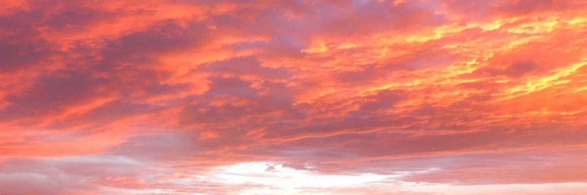 A ❀.ೃ࿔'s banner