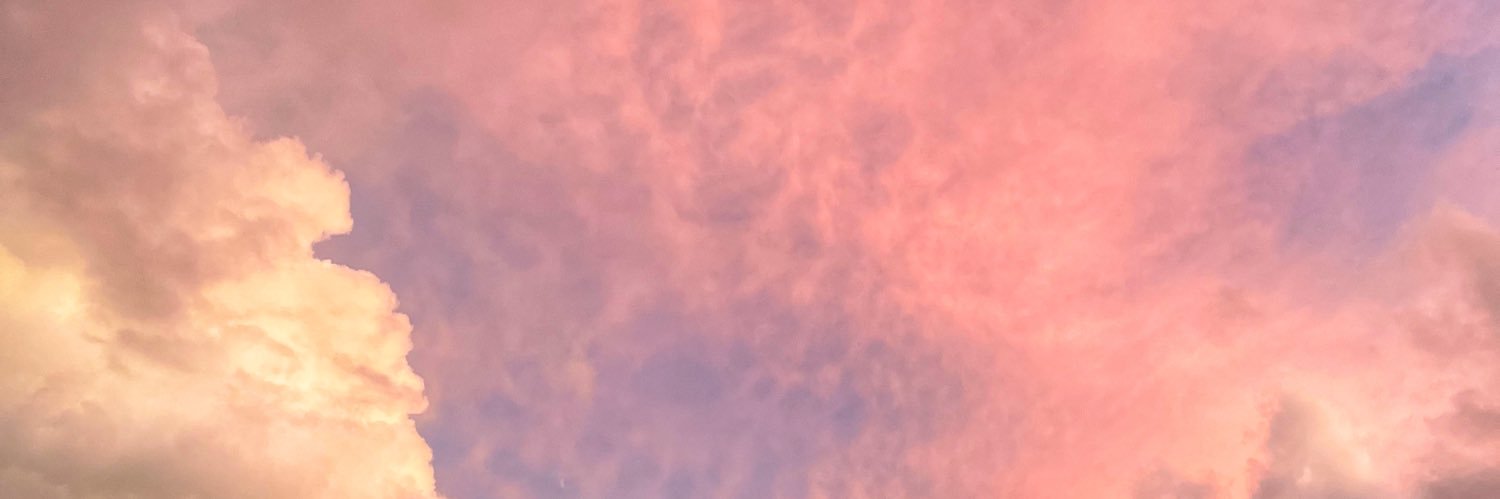 台南微肉三性🧚🏻‍♀️'s banner
