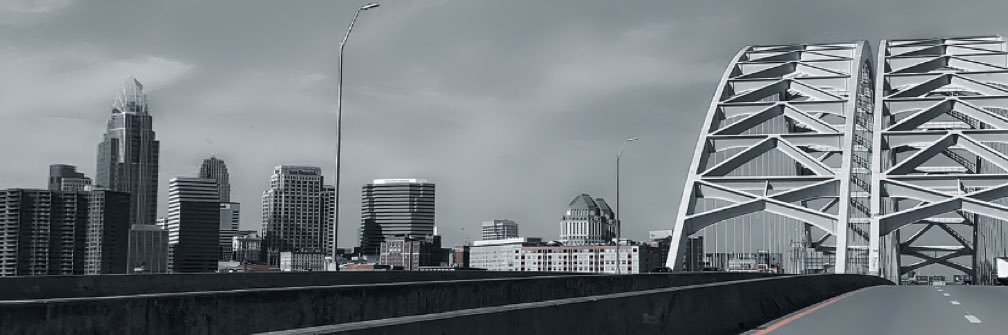 Dior mariee's banner