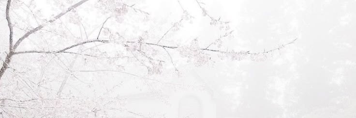 vanilla 𖹭's banner