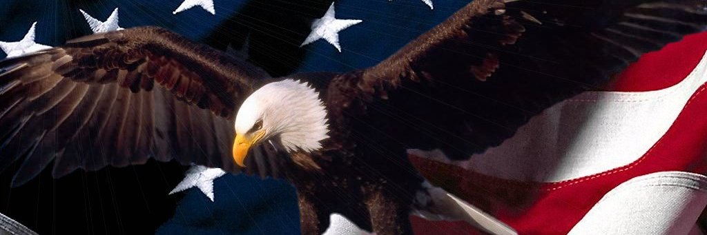 just me 🇺🇸 🇮🇱's banner