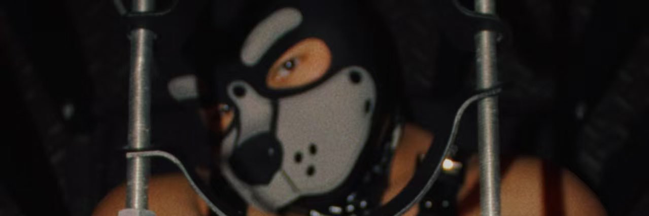 蚕豆 Pro Max's banner
