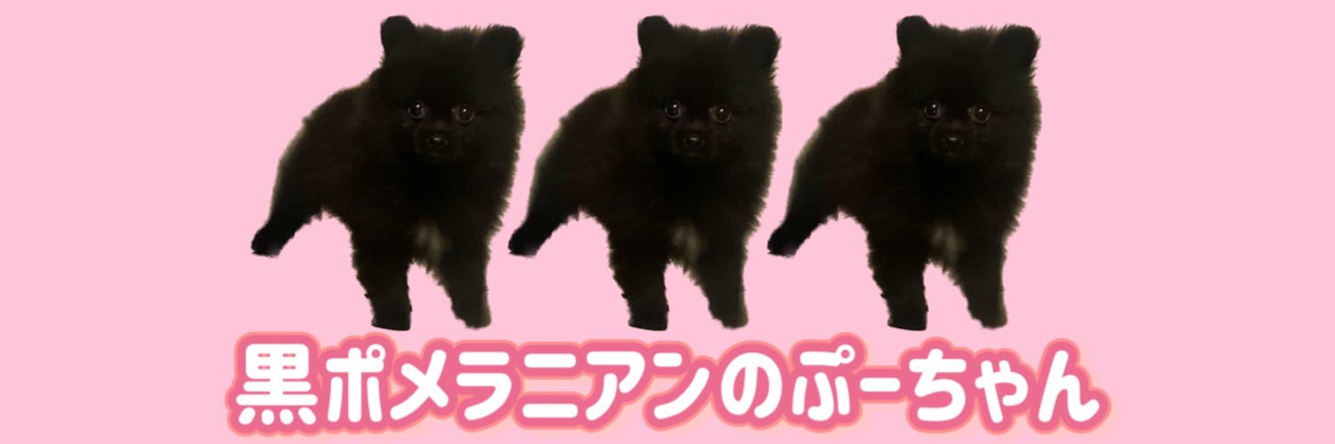 黒ポメラニアンのぷーちゃん's banner