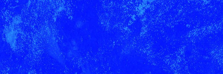 cya's banner