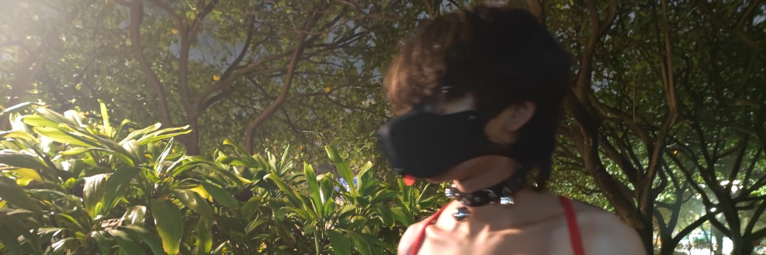 番茄西红柿🍅's banner