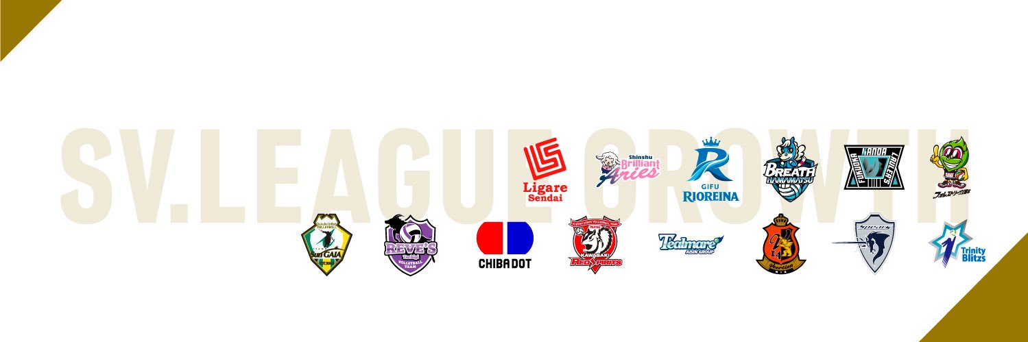 SV.LEAGUE GROWTH's banner