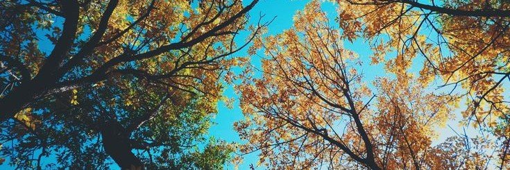 . ๋࣭ ⭑ blink_ie | ρrᥱttყ sᥲd's banner
