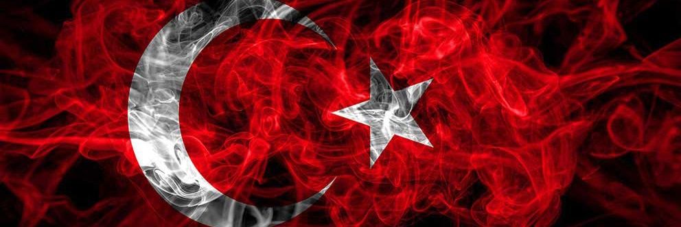 Ayşe ÇELİK's banner