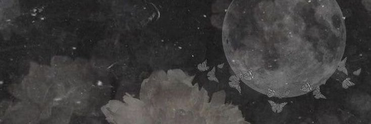 koz's banner