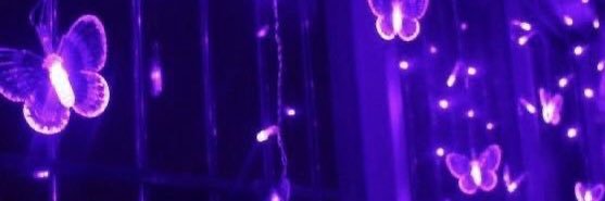 hailey's banner