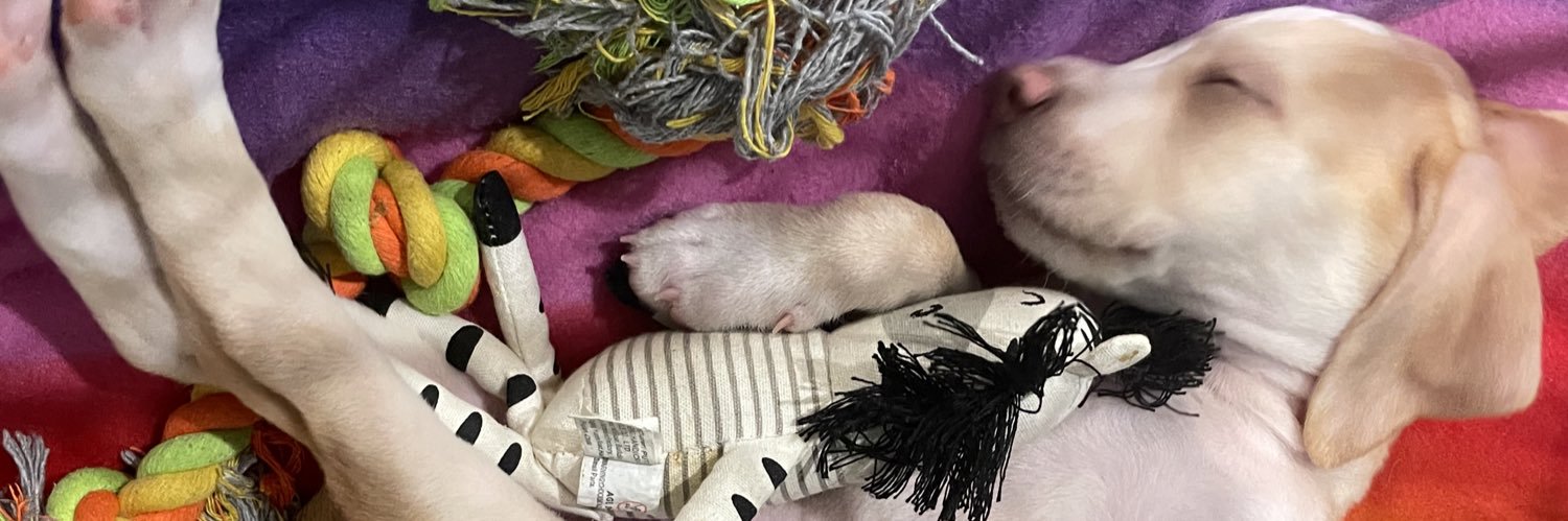 Penelope “Brownie” and Mr Sprinkles Turd's banner