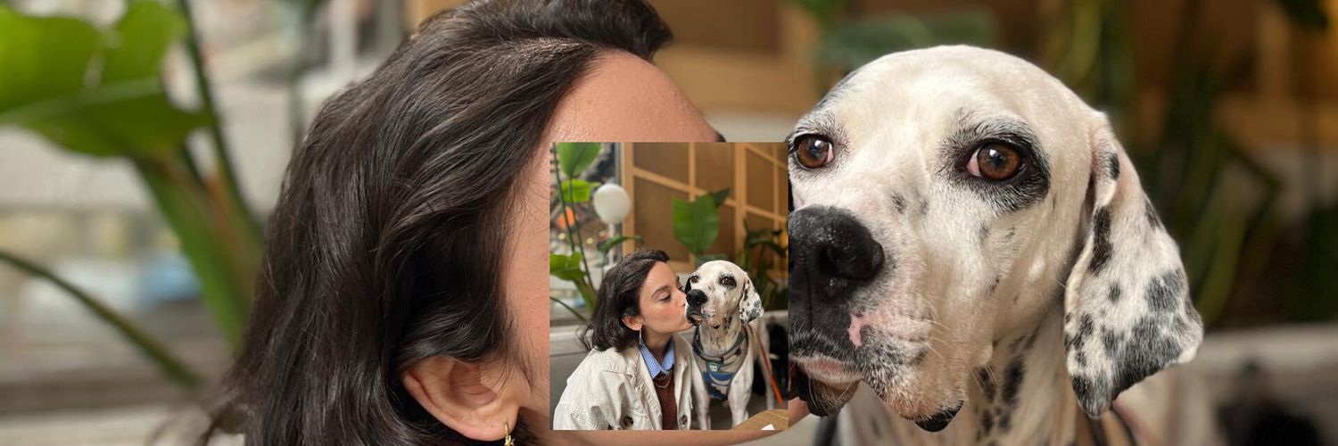 ᴍʀs ғᴏsᴛᴇʀ's banner