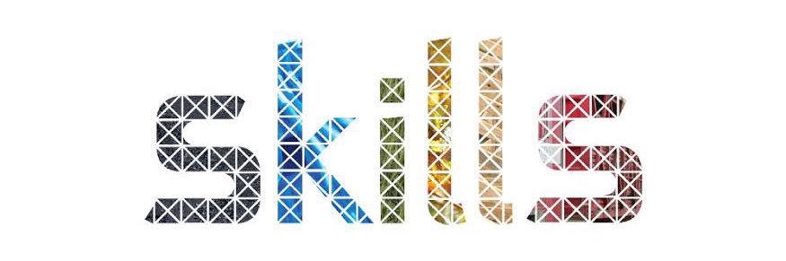 Next Level Skills's banner