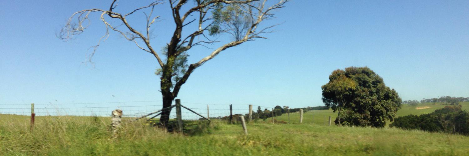 Dinda Kamil's banner
