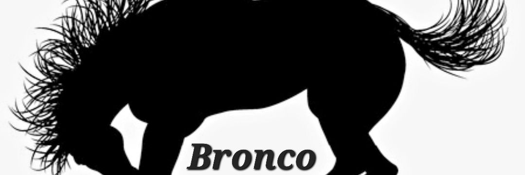 Bucking Bronco🍑 Ohio May 14th -16th's banner