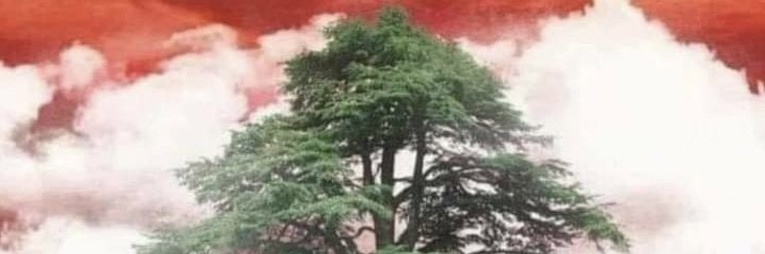 DANA 🇱🇧🇺🇸's banner